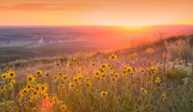 Hıdırellez Bayramı kutlama tarihi Mayıs 2024 || Hıdırellez nedir, ne zaman kutlanır, ritüelleri neler?
